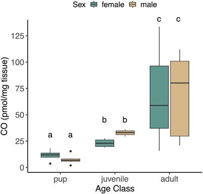 Ontogeny of Carbon Monoxide-Related Gene Expression in a Deep-Diving Marine Mammal